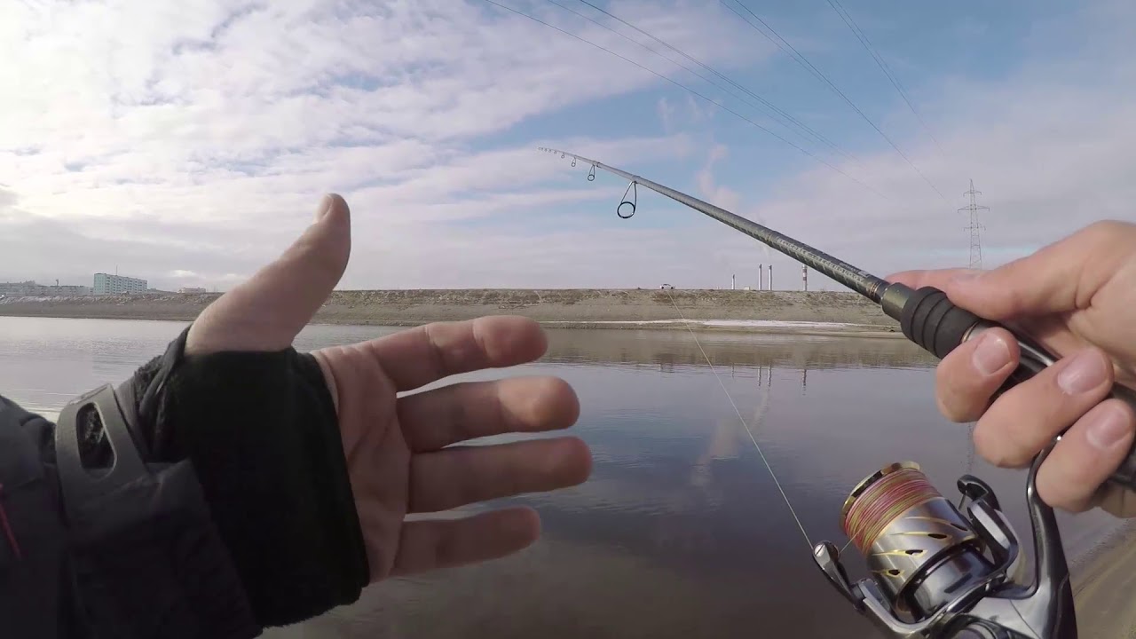 Shimano TwinPower 15` 4000PG vs Shimano Stella 14` 4000 Для тяжелого джига?