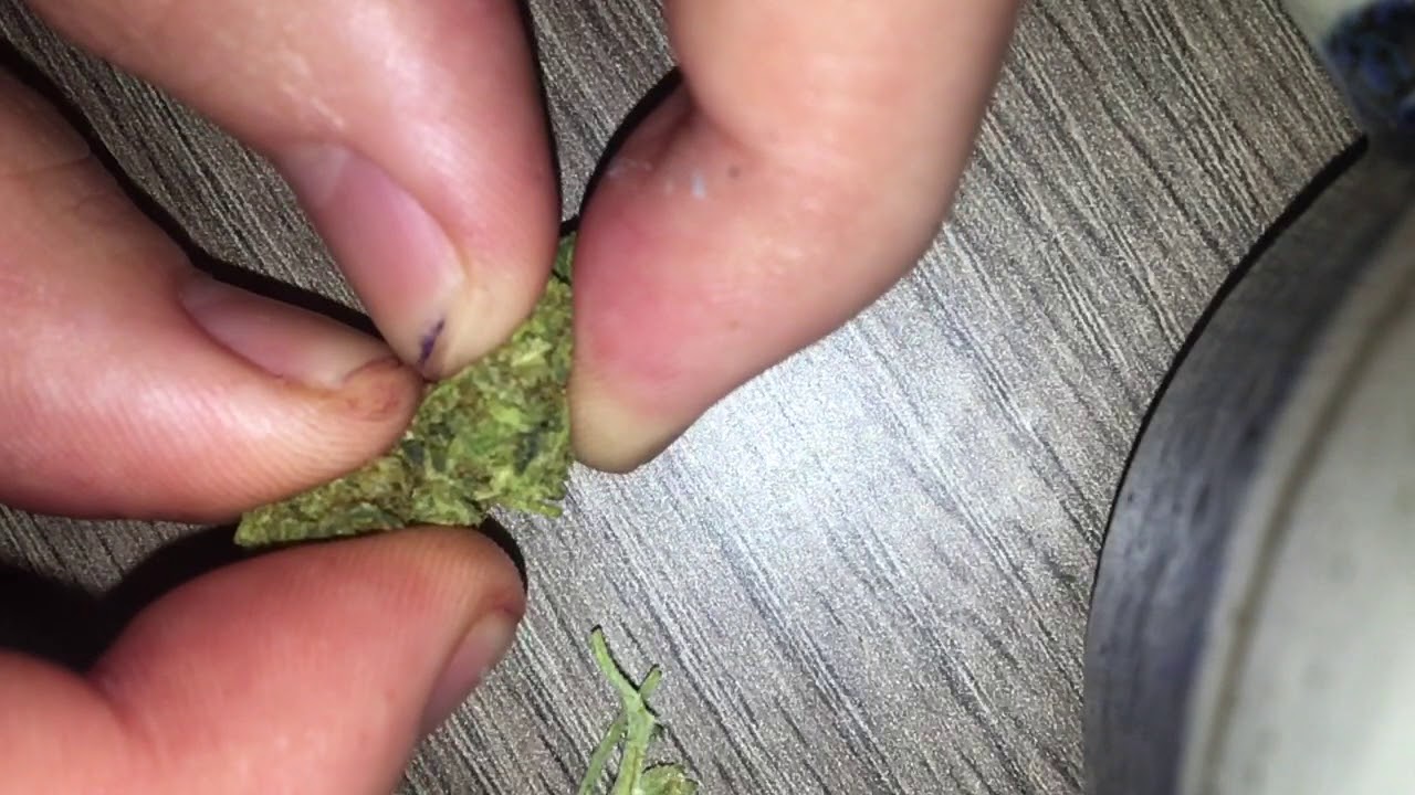slo mo bud break | Purple berry white
