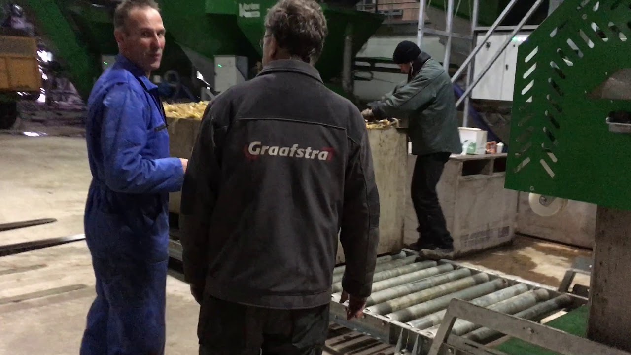 Spoellijn lelies - Derks Gewasbescherming / Gouwenberg