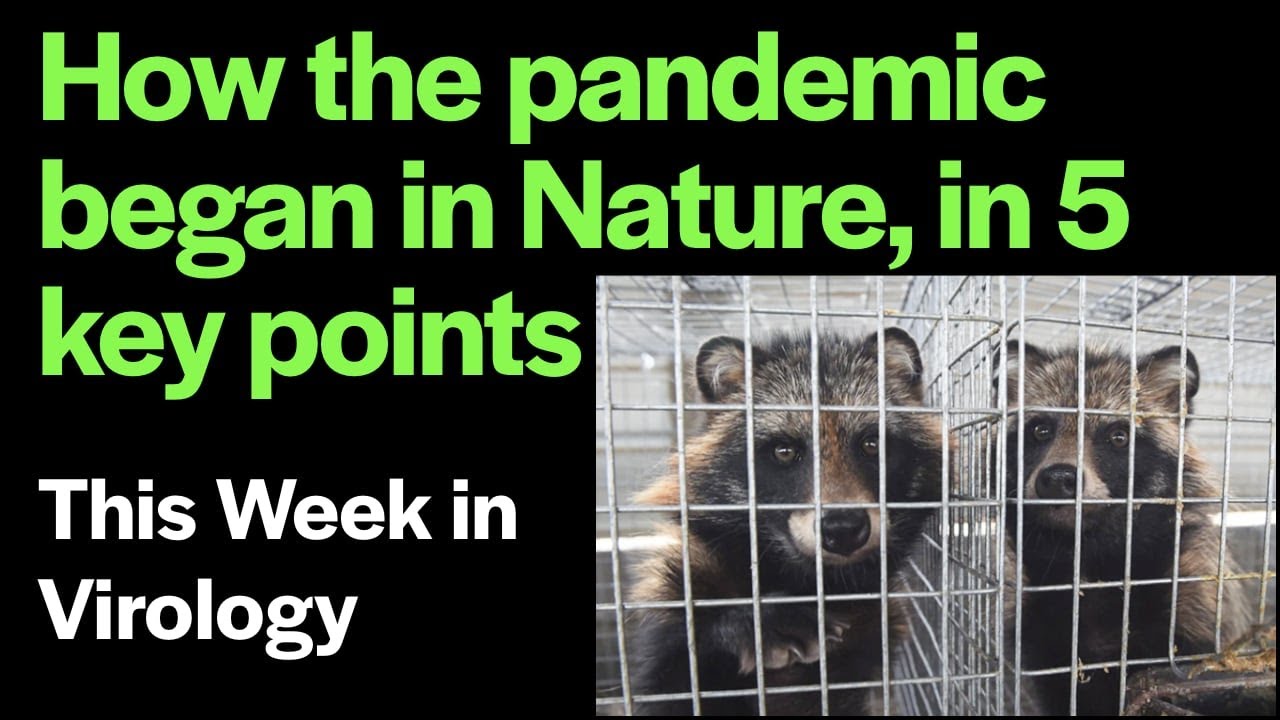 TWiV Special: How the pandemic began in Nature, in 5 key points