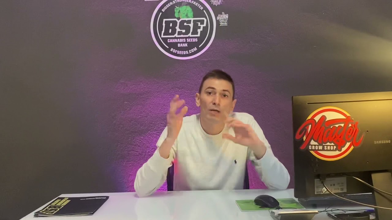 La legalidad del autocultivo, autoconsumo y consumo compartido de cannabis en Espa&ntilde;a