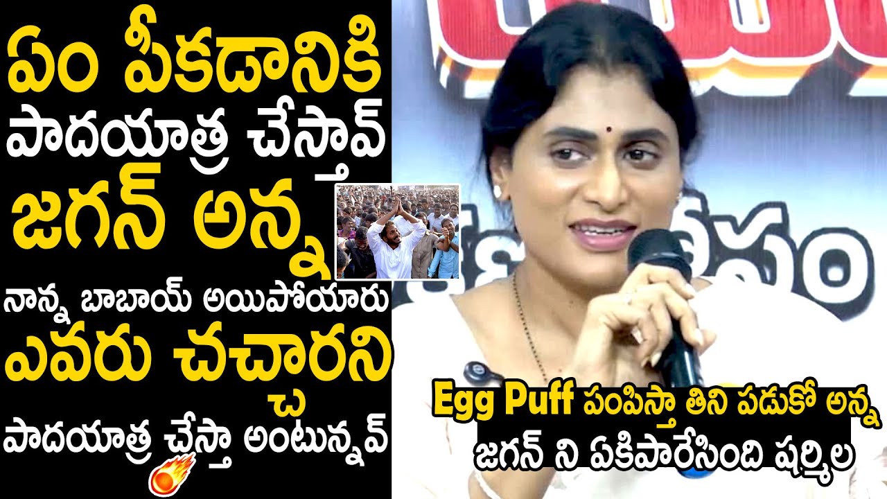 Egg Puff పంపిస్తా తిని పడుకో అన్న |Ys Sharmila Hilarious Comments On Ys Jagan Over His Padayatra 2.0