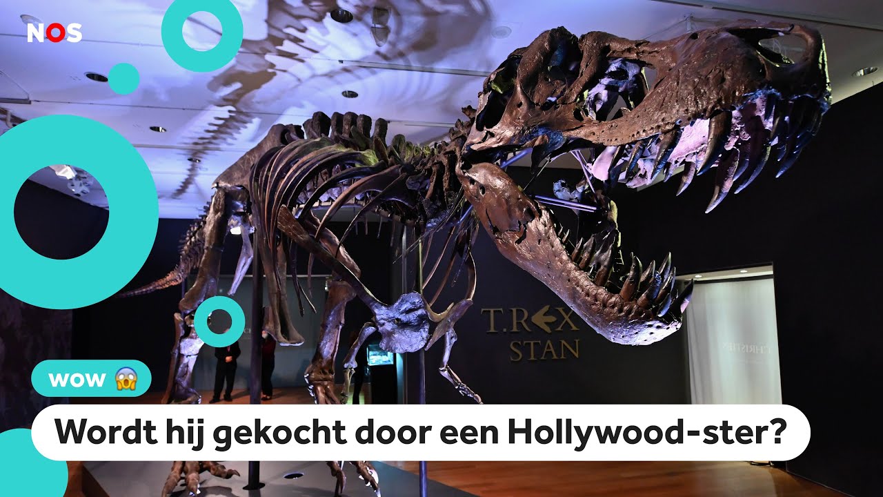 Te koop: Het skelet van T. rex Stan