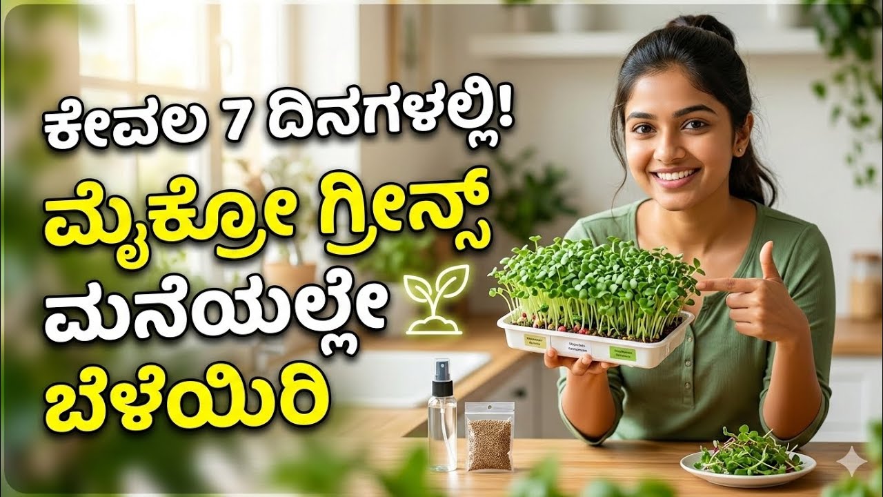 ಮನೆಯಲ್ಲೇ ಸುಲಭವಾಗಿ ಮೈಕ್ರೋ ಗ್ರೀನ್ಸ್ ಬೆಳೆಯುವ ವಿಧಾನ | How to Grow Microgreens at Home in Kannada