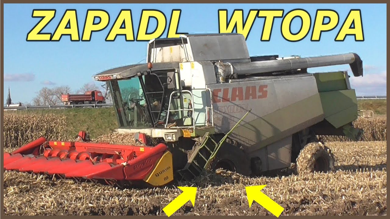 Zapadlé kombajny v Kukuřici 🌽 Kukurydza Na Ziarno ✩ WTOPA❗ UTOPIONY LEXION i CR❗❗❗