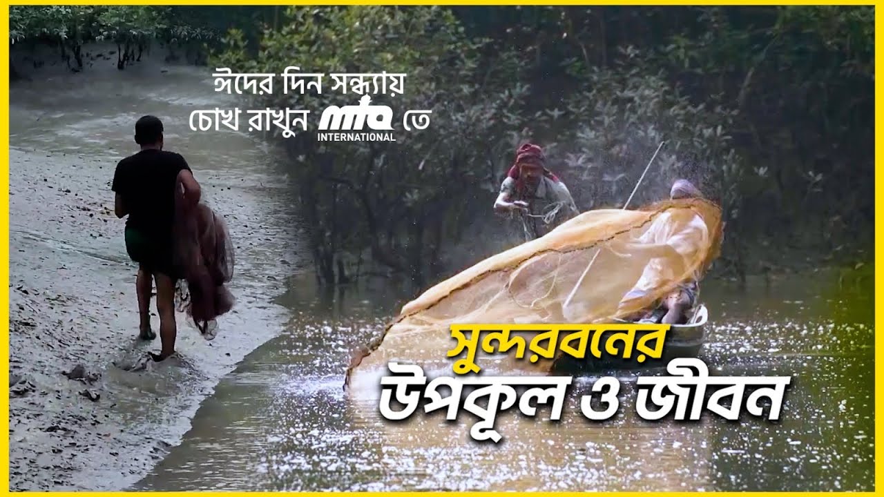 Promo l Coast and Life | River, Forest and Survival Story | Bangla Documentary