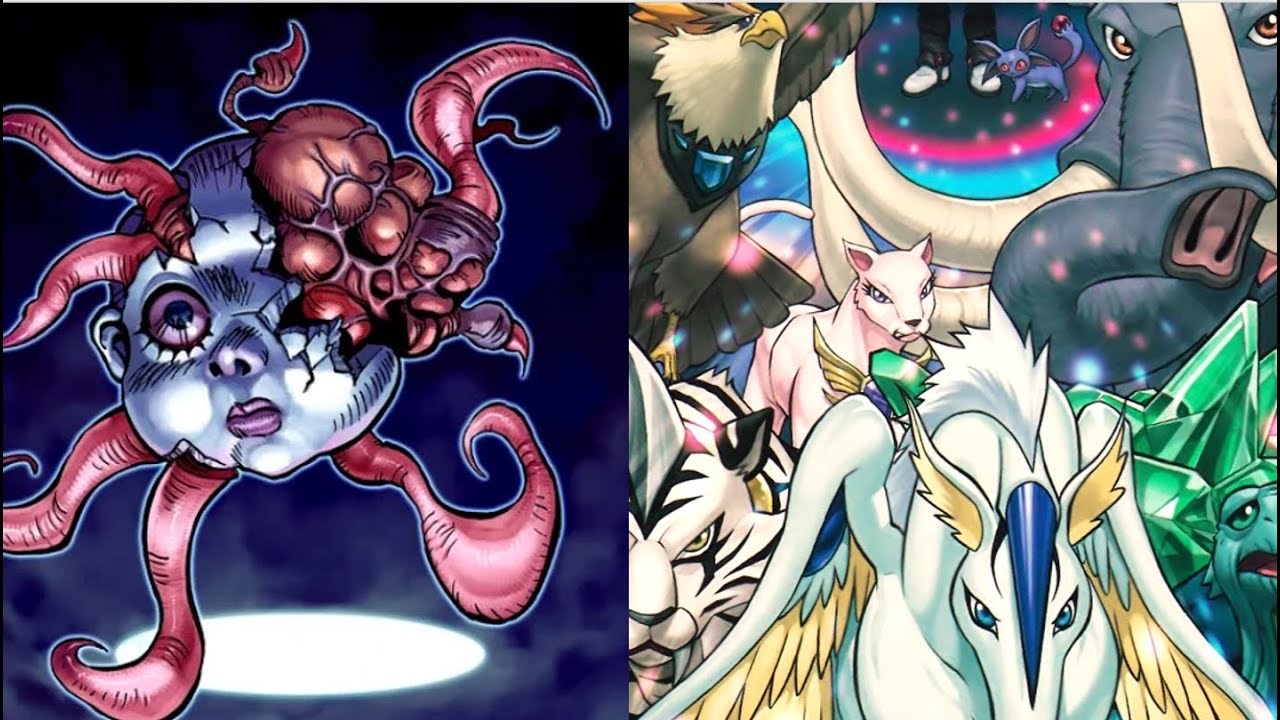 YUGIOH EDISON FORMAT CRYSTAL BEAST CONTROL VS NECROFACE SYNCHRO