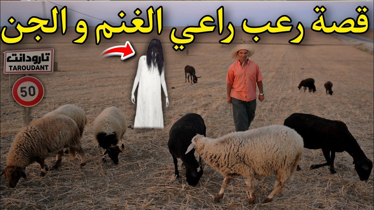 قصة رعب[ راعي الغنم و الجن ] 384#|قصص رعب الواقعية بالدارجة المغربية 9isas ro3b wa9i3iya