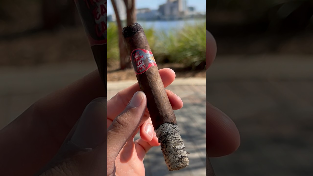 Privada Cigar Club Let Them Eat Cake Cigar Review #cigar #review #cigarlife #cigars #coffee #how to
