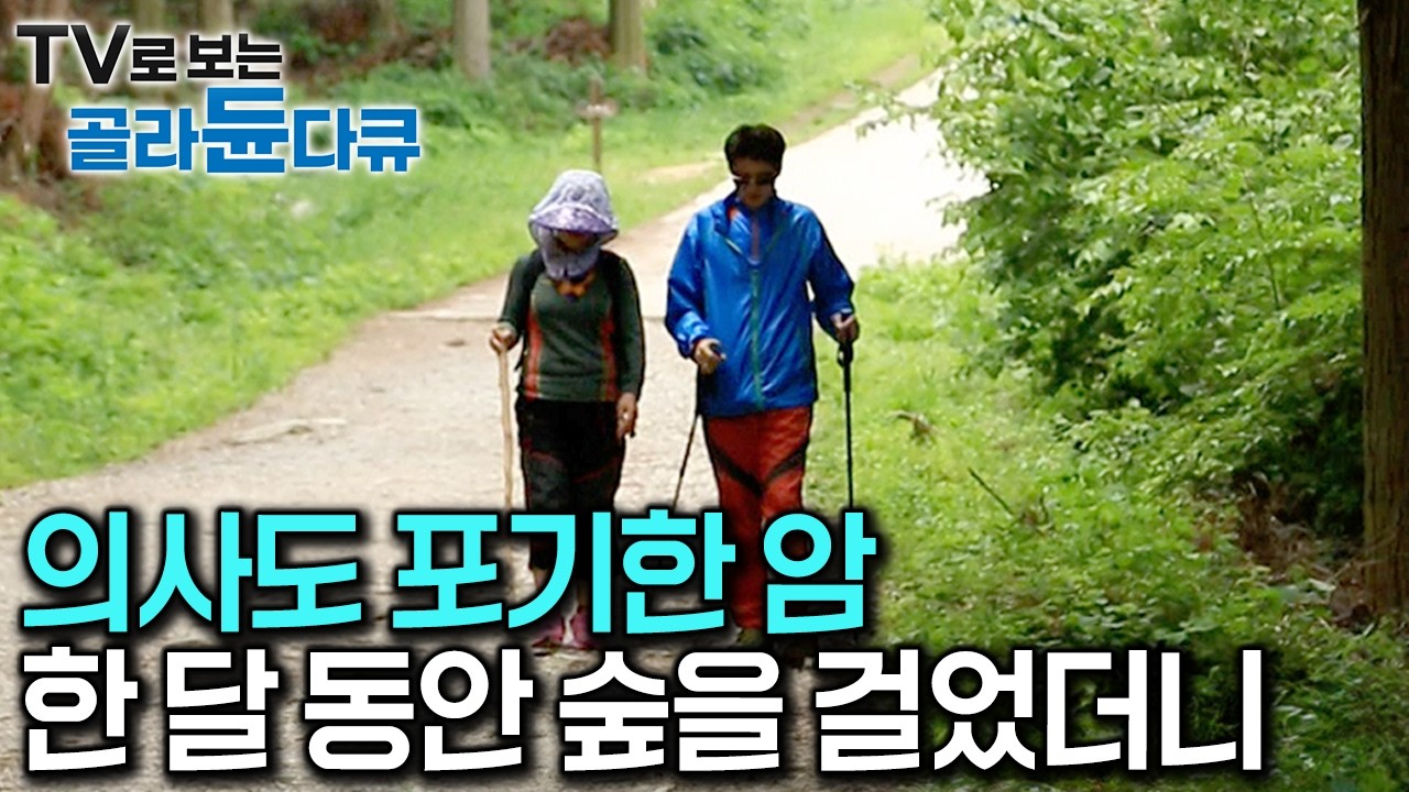 수술 불가 암덩어리가 줄어들었다. 무작정 찾아간 산에서 얻은 놀라운 결과｜의사가 포기한 암을 이겨내게 한 자연의 힘｜축령산 치유의 숲｜하나뿐인 지구｜#골라듄다큐