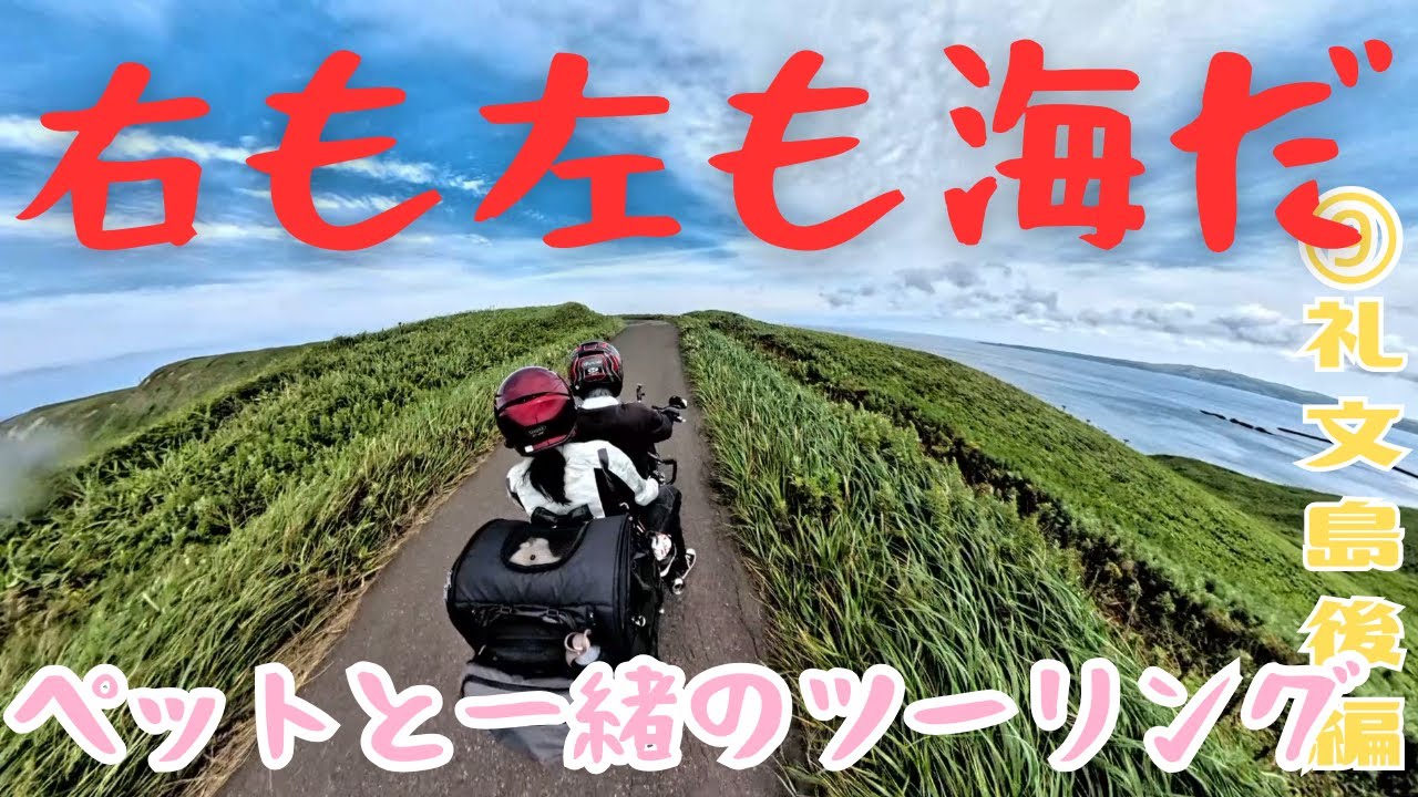 ⑨🏍️バイクで島めぐり　身体で感じた礼文島の絶景　360℃カメラがとらえた瞬間　礼文島後編