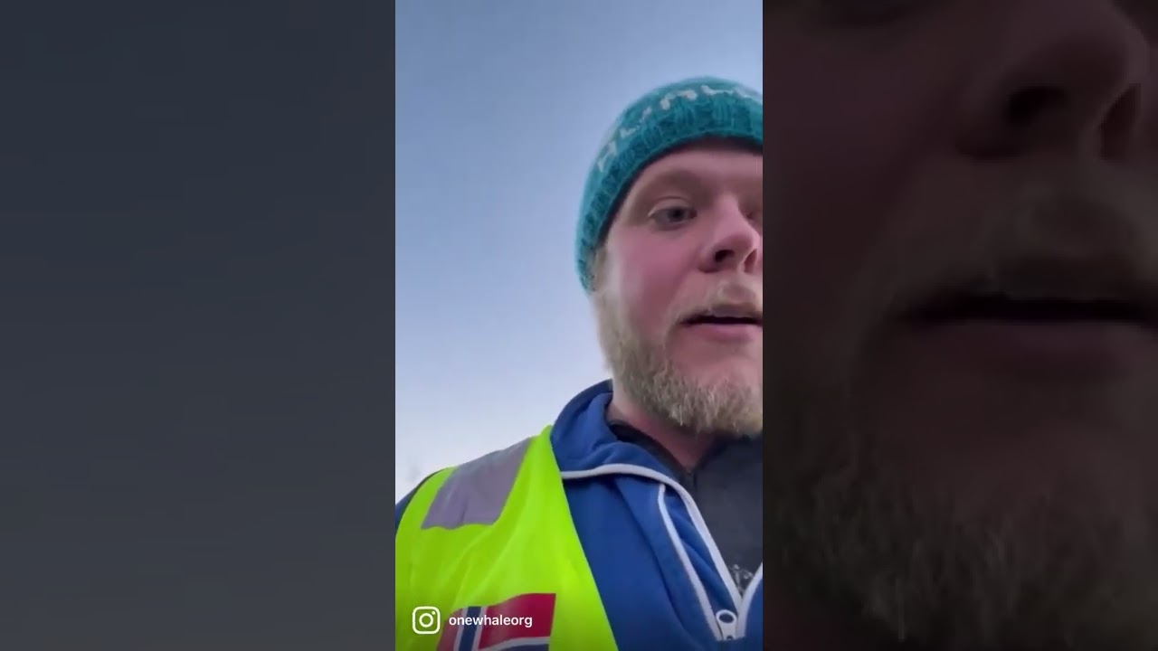 Hvaldimir Update from On-Site Biologist, Sebastian Strand_Oct 20,2022|  OneWhale.org