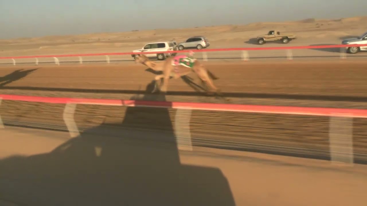 الشوط  5 ☆ (    غيــاثي ) للسيد : عبدالله علي سعيد بالنص المنصوري توقيت 9.20.68