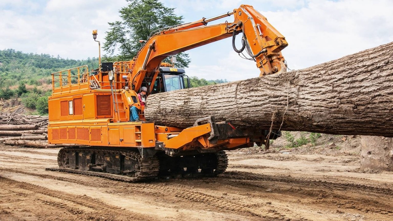 When Giant Wood Chippers Go All In | Dangerous Tree Shredding