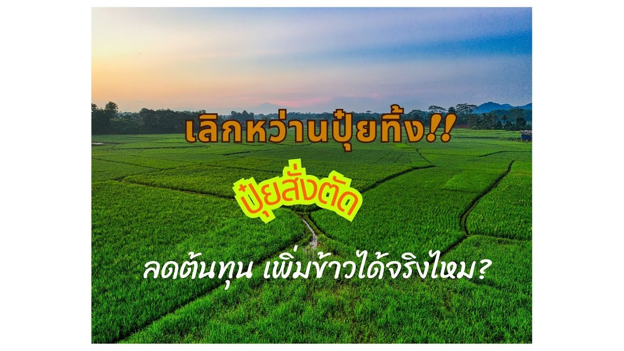 เลิกหว่านปุ๋ยทิ้ง! เทคนิค 