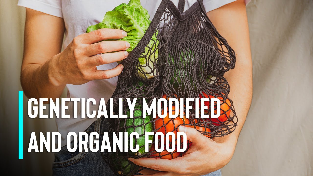 Genetically Modified vs Organic Food: Which is the Best Option?