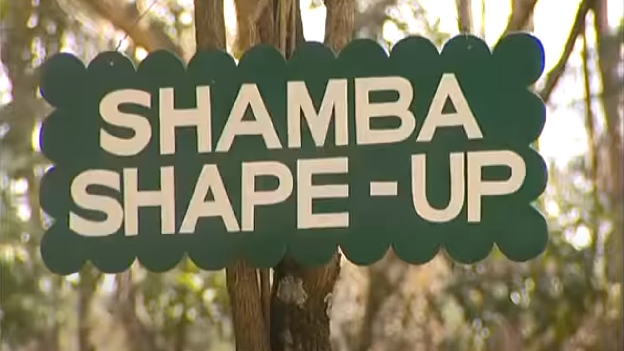 Shamba Shape Up clips - Cows Feeding urea treatment