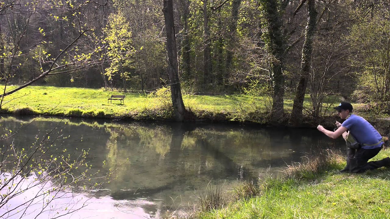 Rodtrip - Two fly fishing days at the domain of Sommedieue