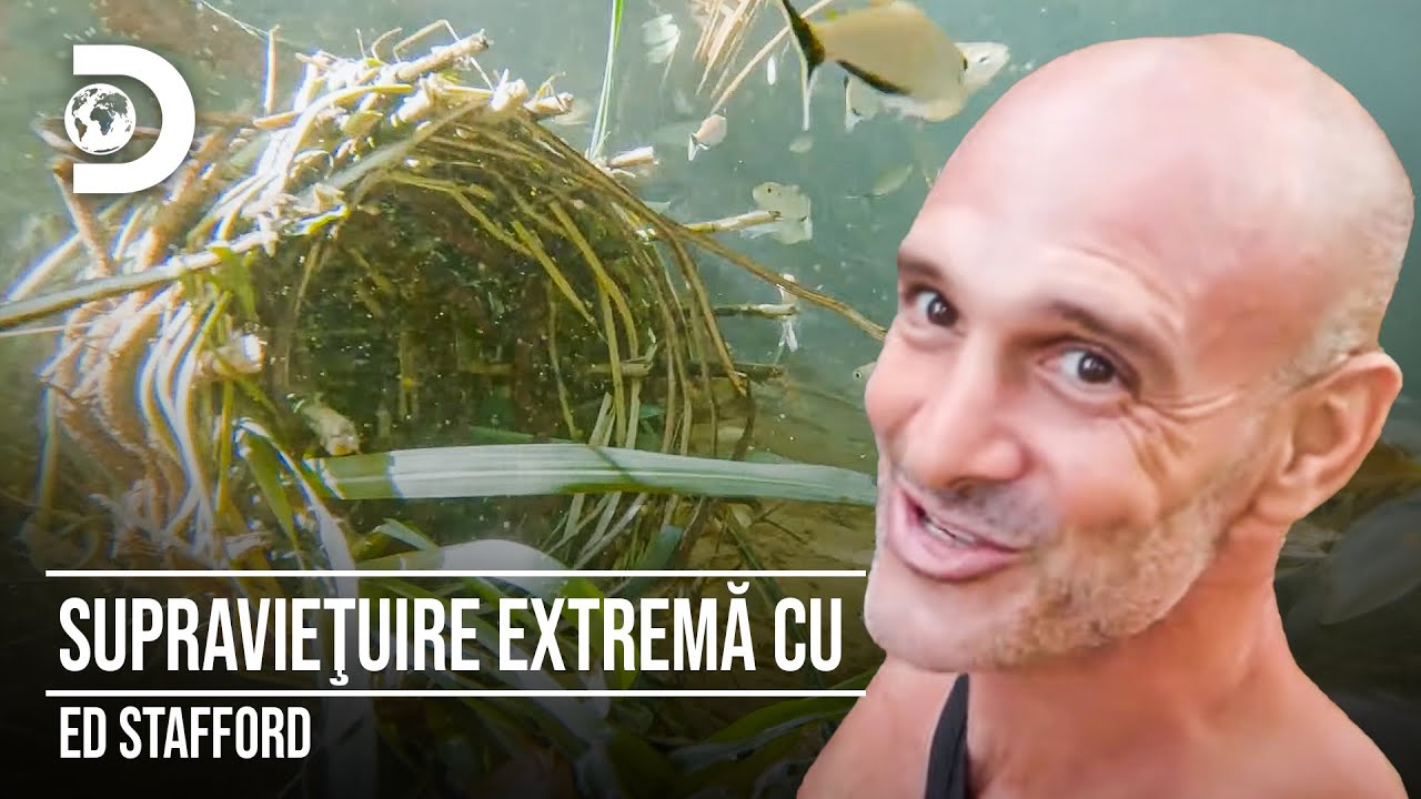 Pescuit cu termiti | Supravieţuire extremă cu Ed Stafford