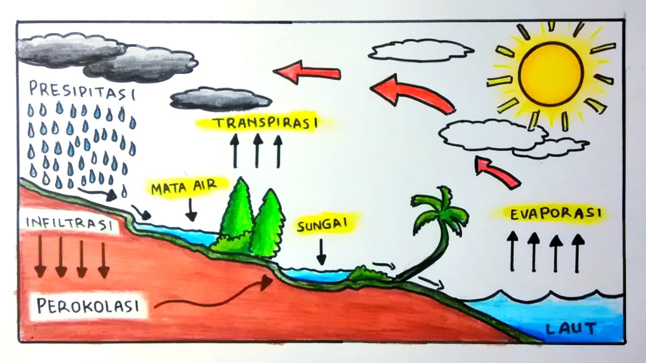Cara menggambar siklus air paling mudah