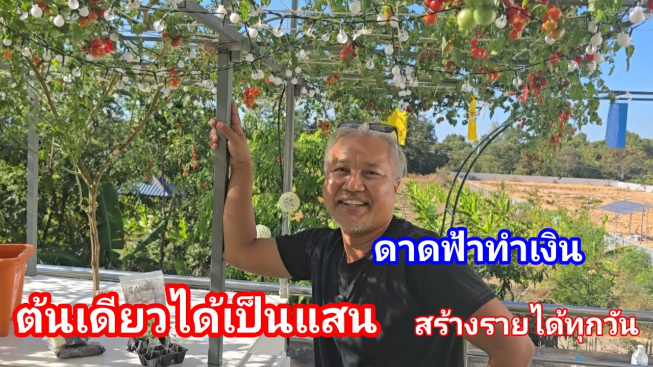 สุดยอดไอเดียสร้างรายได้แห่งปี พื้นที่น้อยแต่ทำเงินได้เยอะ เป็นแนวคิดที่เหมาะมาก
