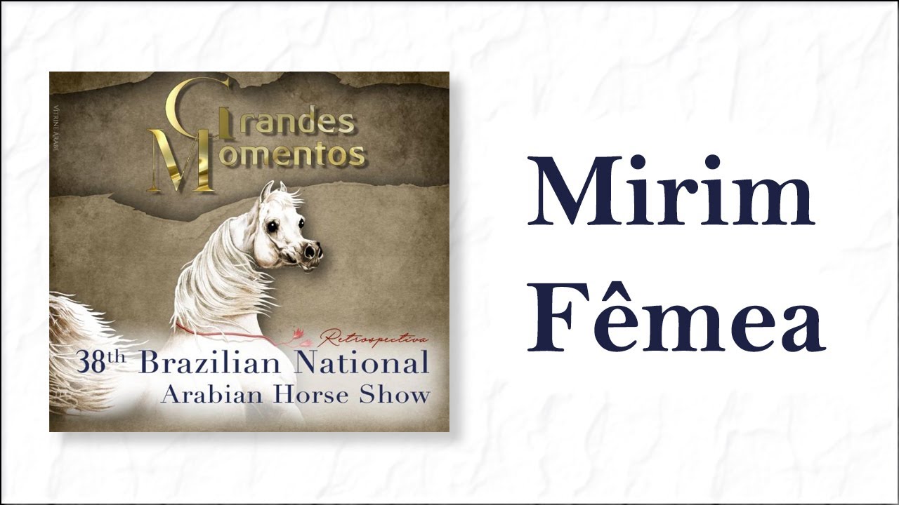 Retrospectiva Nacional Cavalo Árabe 2019 - Mirim Fêmea