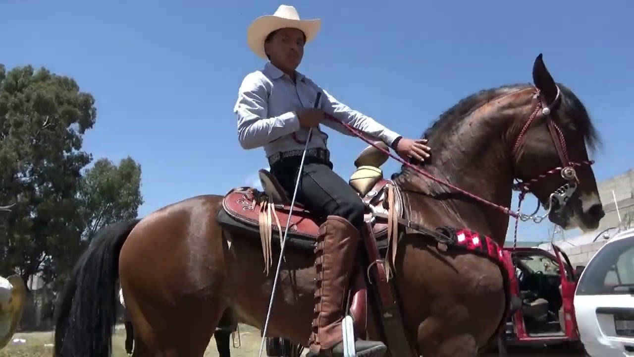 enrique y pepe aguilar