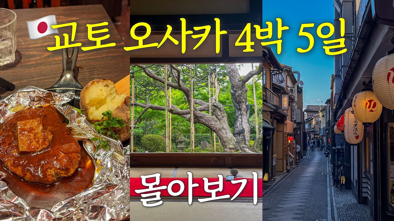 교토 오사카 4박 5일 몰아보기 🇯🇵 전체 경비 공개💰 일본의 여름 제대로 당한(?) 혼자 여행
