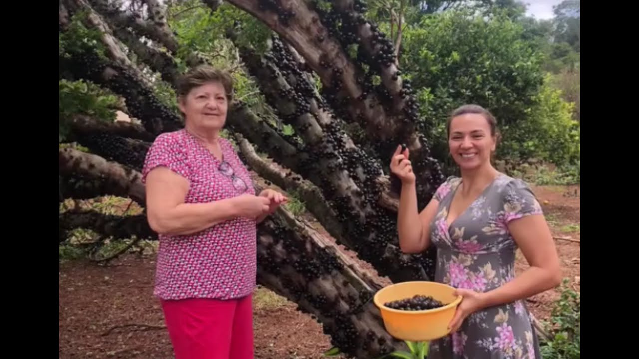 APRESENTAÇÃO DA SEDE DA FAZENDA!! 