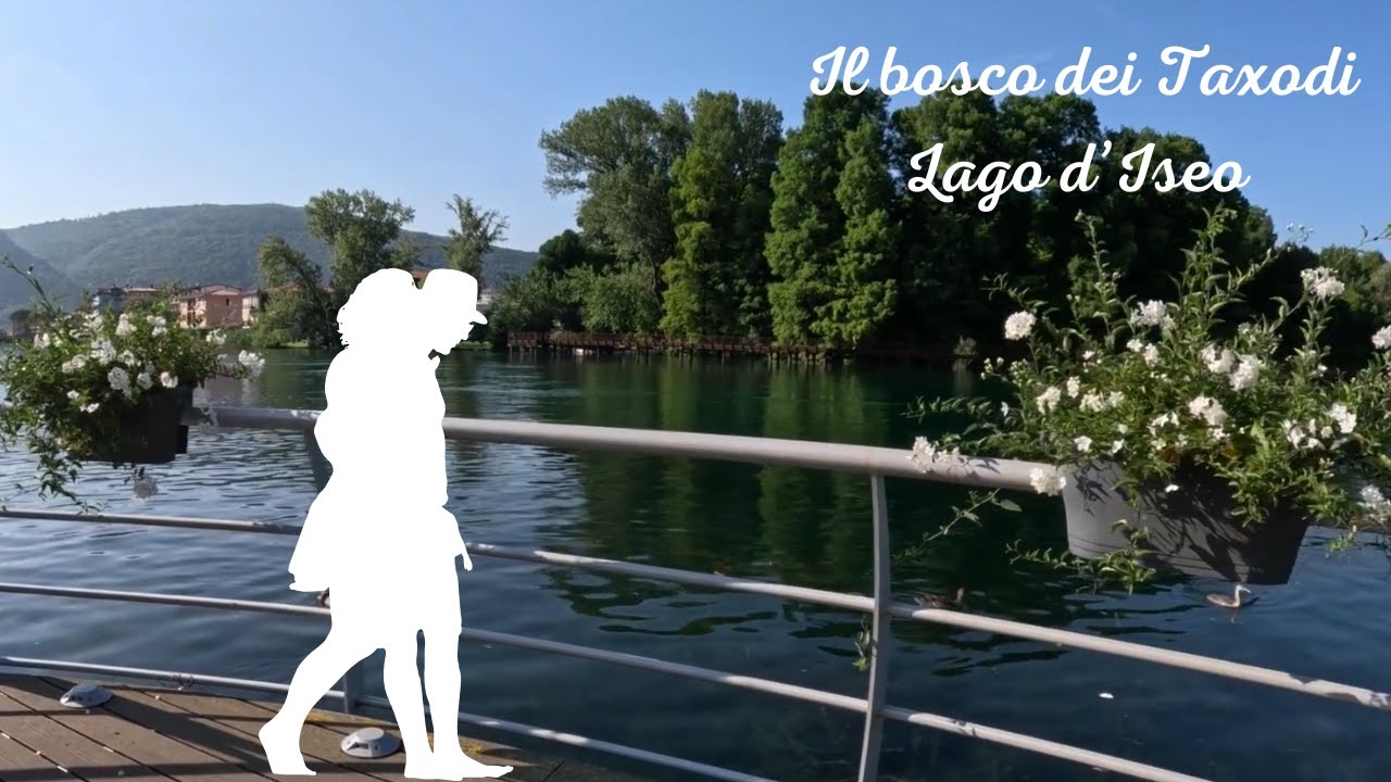 Paratico Bosco Taxodi