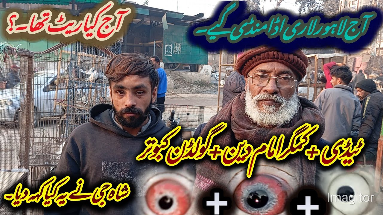 شاہ جی نے یہ کیا کہہ دیا۔آج لاہور لاری اڈا گیے۔