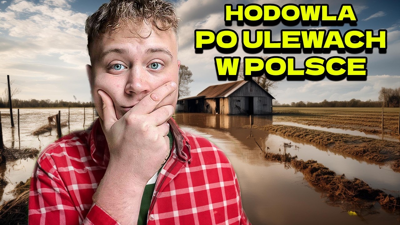 Hodowla PO ULEWACH w Polsce