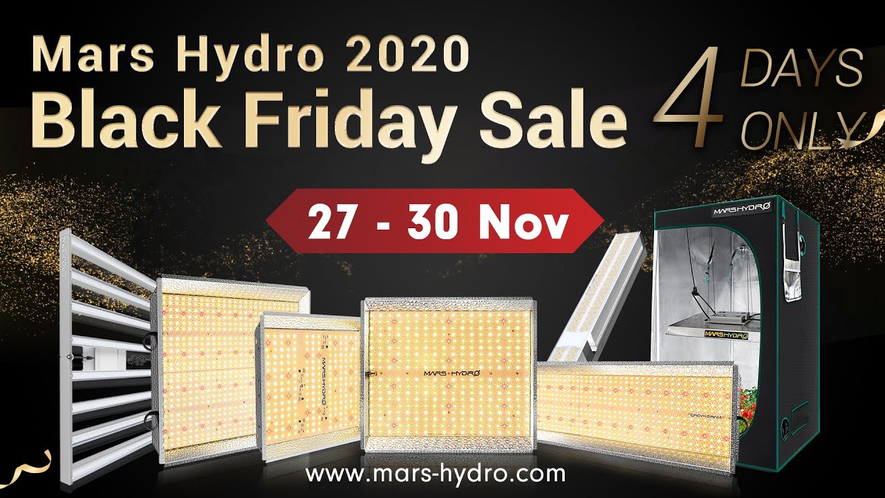 Buy Best LED grow light on Black Friday
