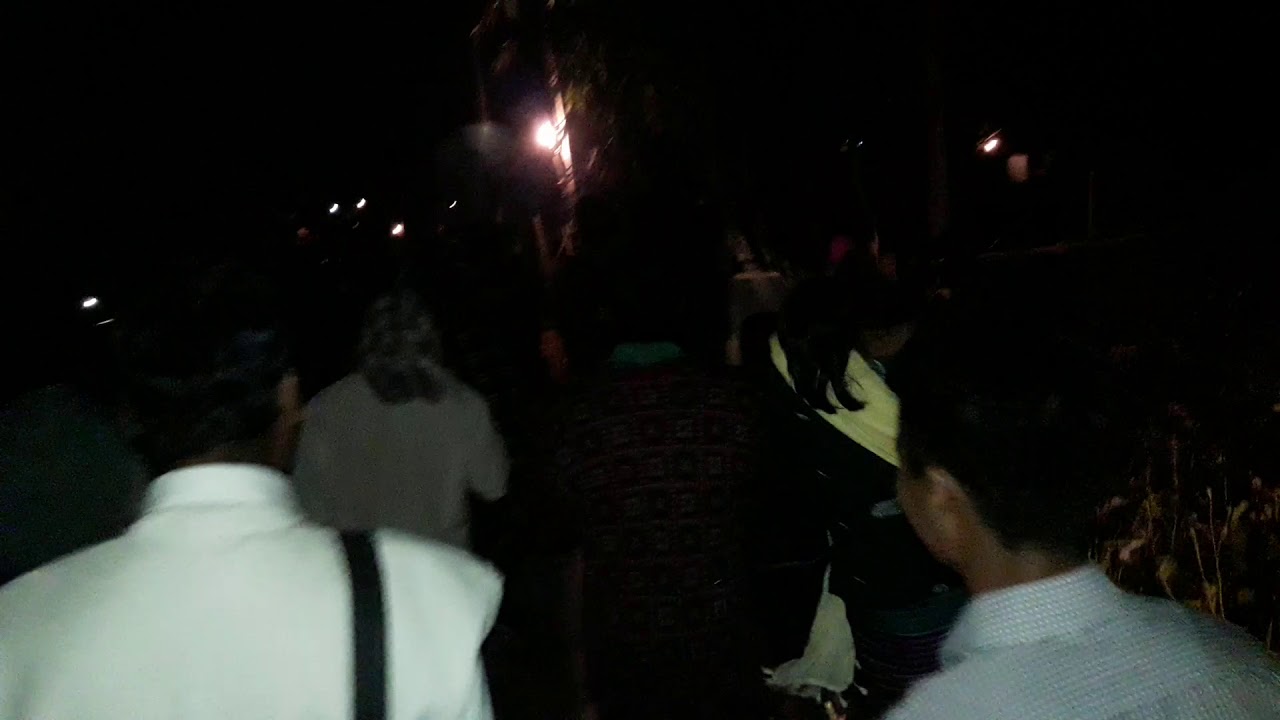Akurai ni panda