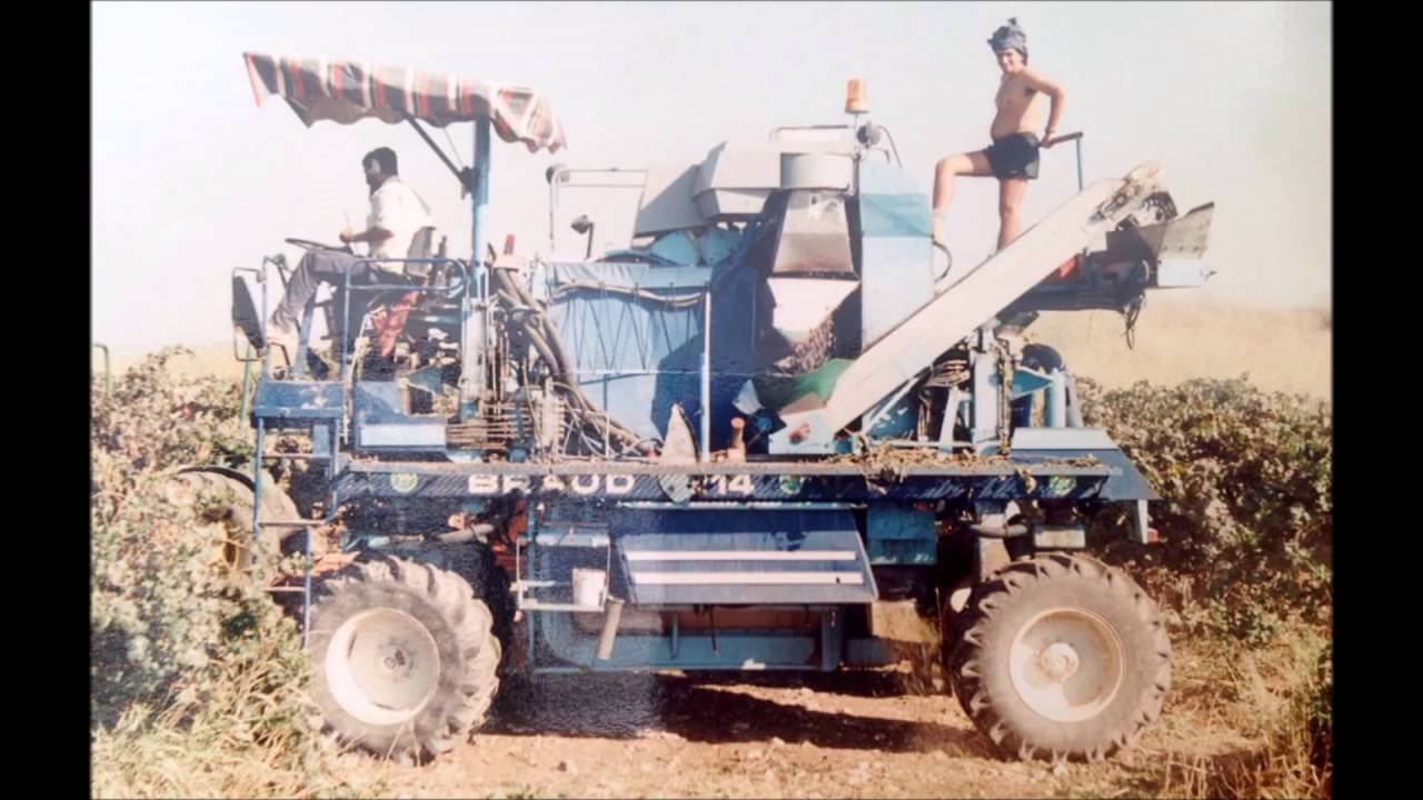 משמר דוד 1947  1985