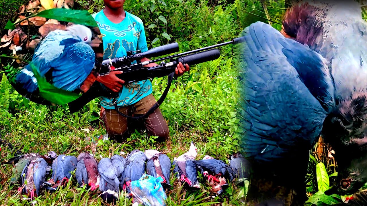 BERANI MASUK HARUS KUAT PIKUL BERBURU PERGAM JUMBO ALIS MERAH PAPUA
