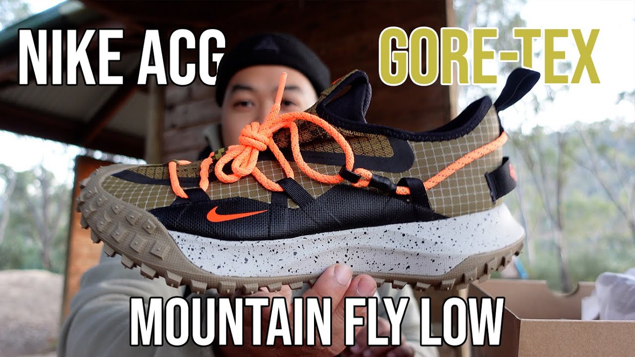 ВСЁ ЕЩЁ СТОИТ КУПИТЬ? NIKE ACG MOUNTAIN FLY LOW GORETEX