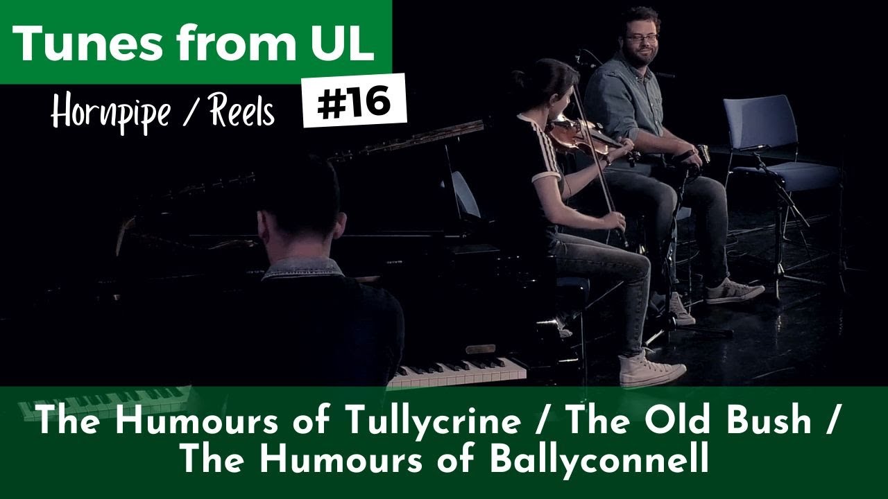 Tunes From UL #16 | HUMOURS OF TULLYCRINE / OLD BUSH / HUMOURS OF BALLYCONNELL (Hornpipe/Reels) 🎶☘️
