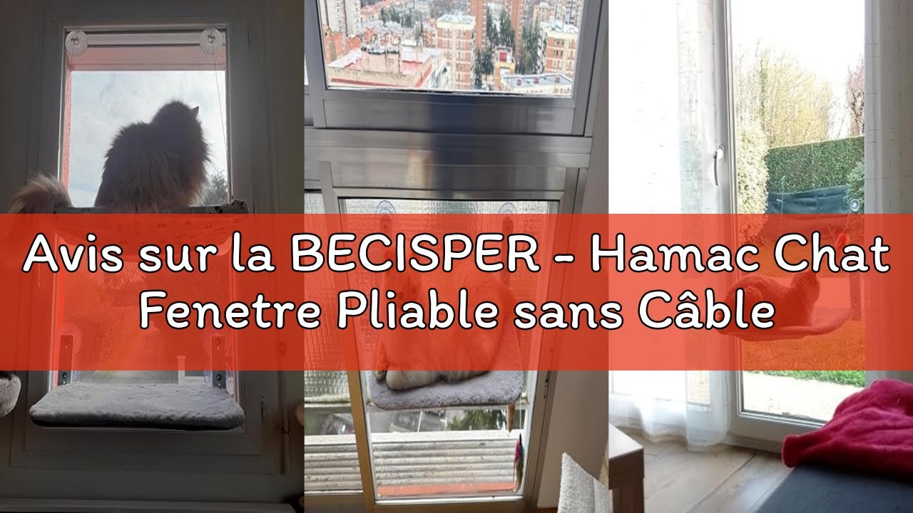 Avis sur la BECISPER - Hamac Chat Fenetre Pliable sans Câbles Lit pour Chat avec des Ventouses Stabl