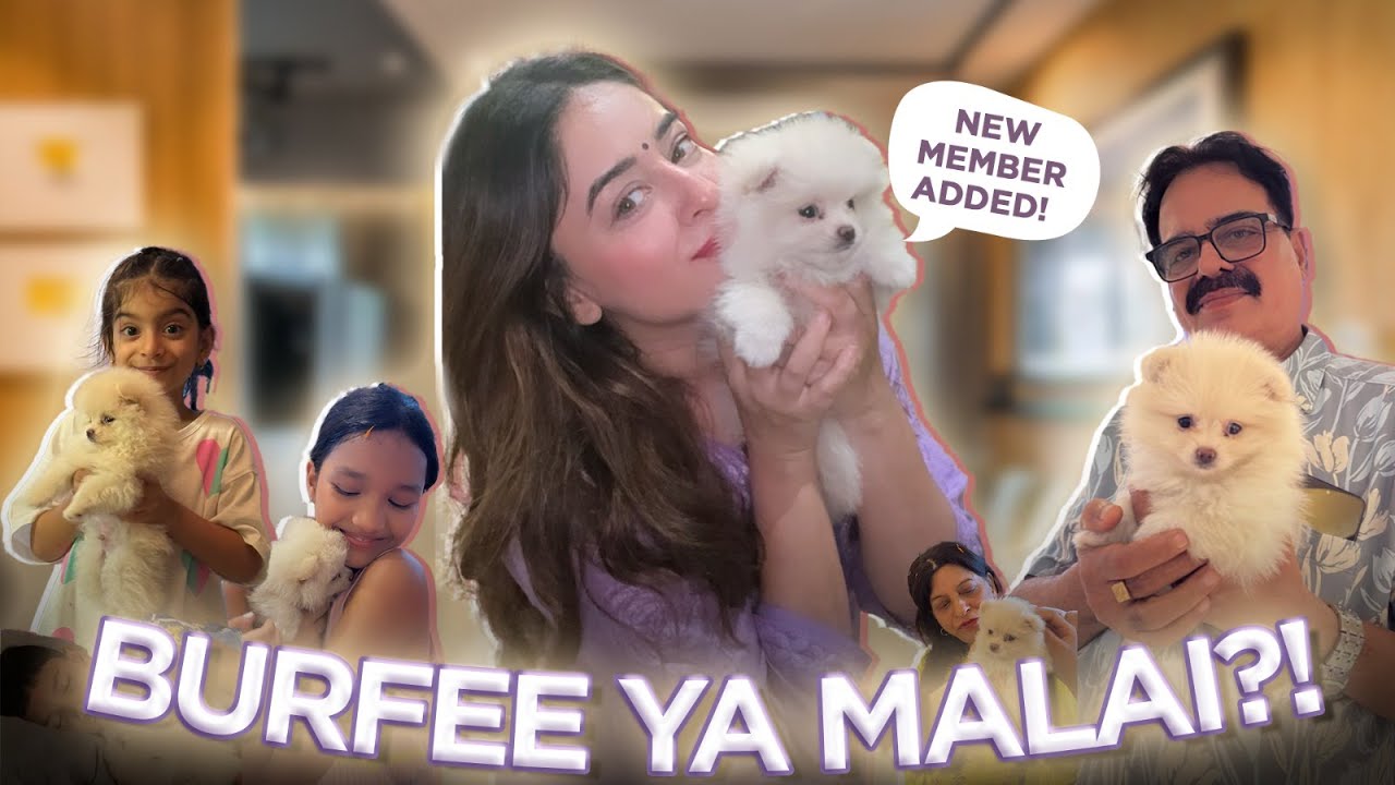 Burfee Ya Malai?! Ghar Aaya Ek Naya Pyara Member 🐶🐾💖  @TheMahhiWay