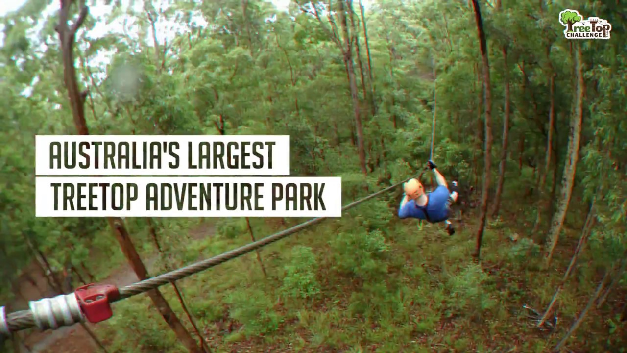TreeTop Challenge at Tamborine Mountain Gold Coast