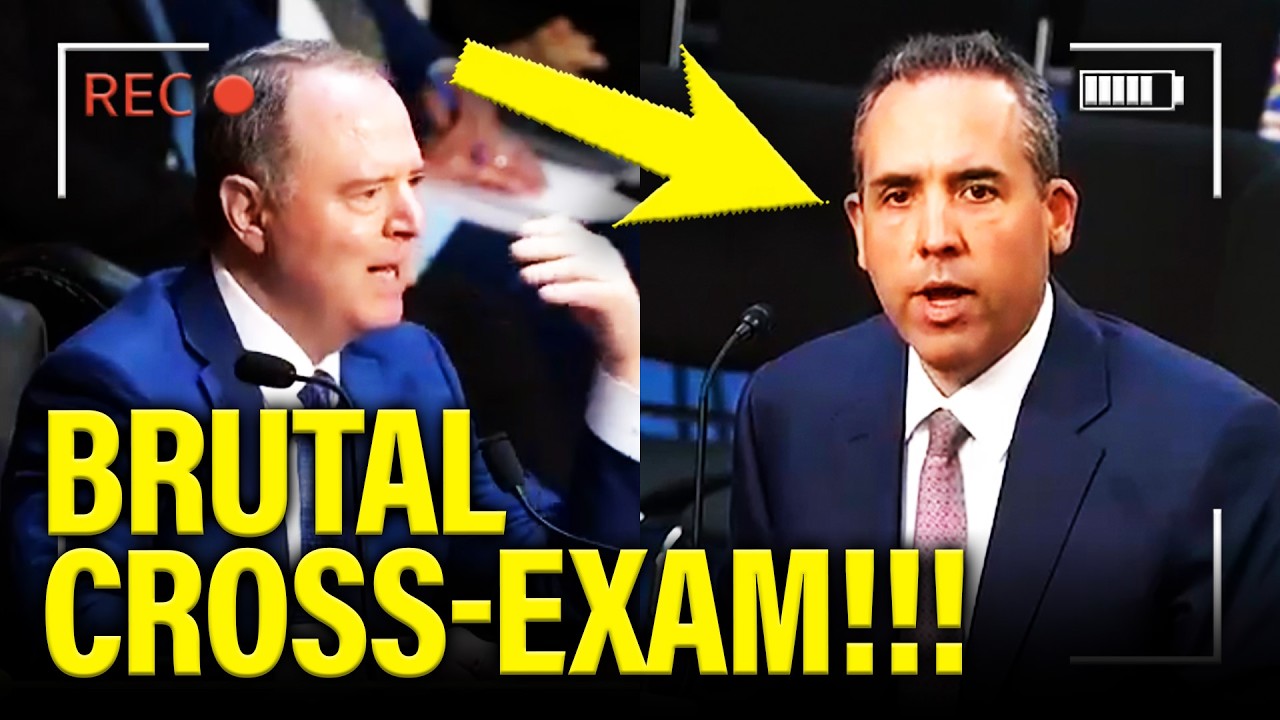 Trump Judges COLLAPSE UNDER CROSS-EXAM at HEARING!!!