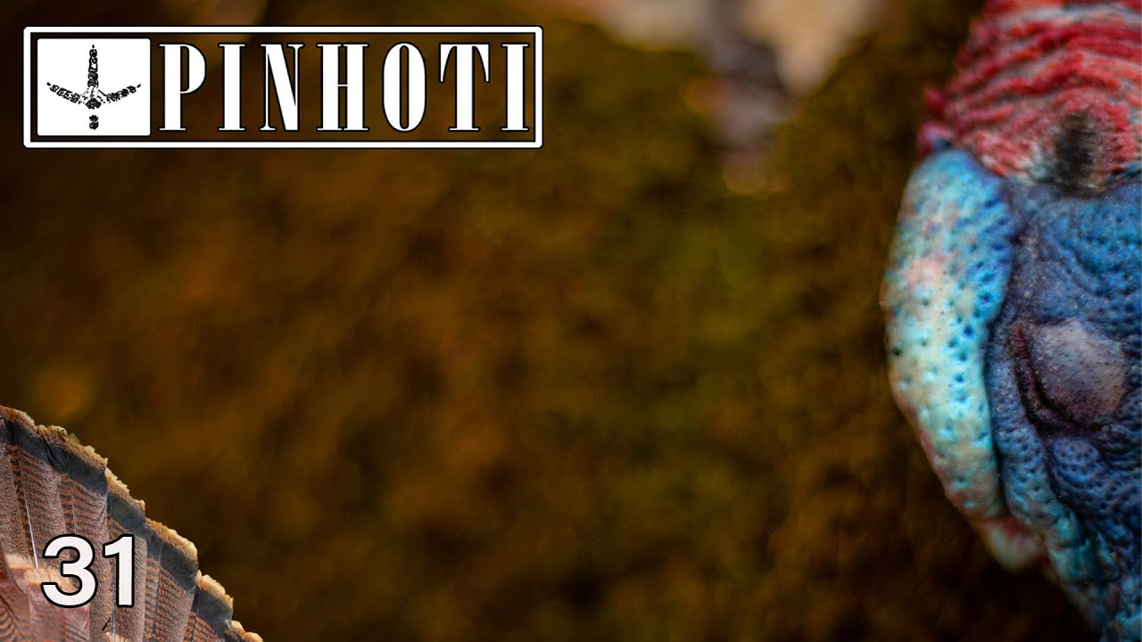 PERFECT HARDWOODS NATIONAL FOREST TURKEY HUNT | KILLING GOBBLERS for the RIGHT REASON- Pinhoti 2021