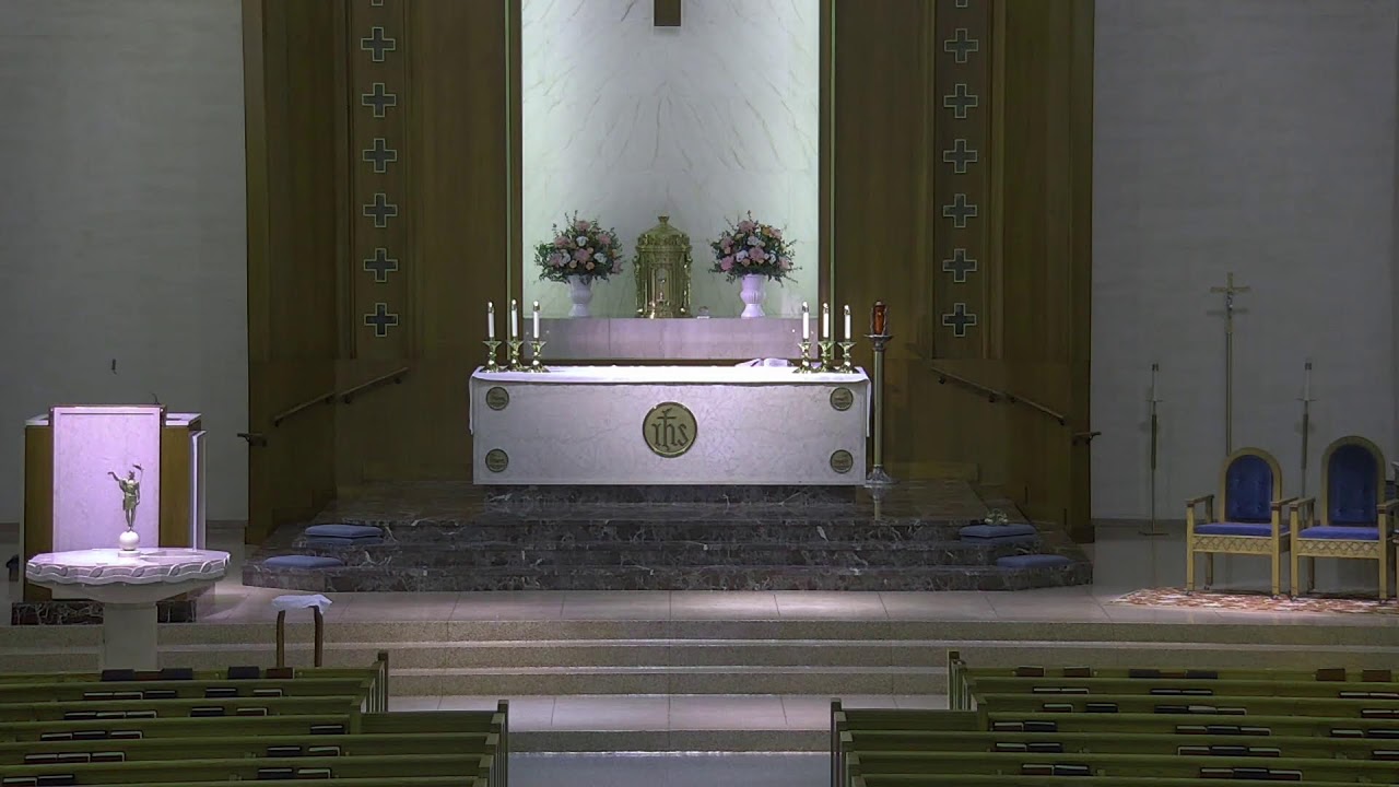 Fifth Sunday in Ordinary Time.  Permission to stream/podcast music granted by ONELICENSE # A-707359
