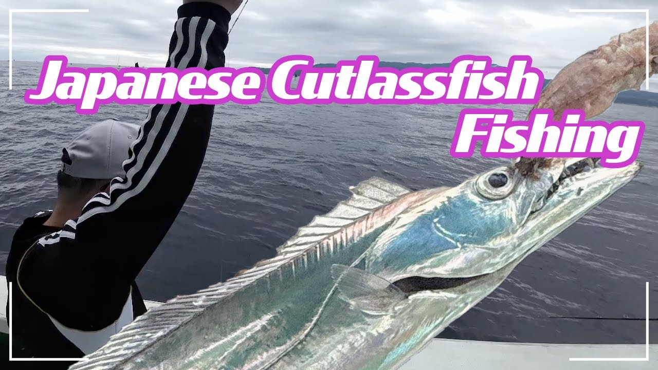 Fishing for Pacific Cutlassfish in Japan &ndash; Stunning Tenya Technique!
