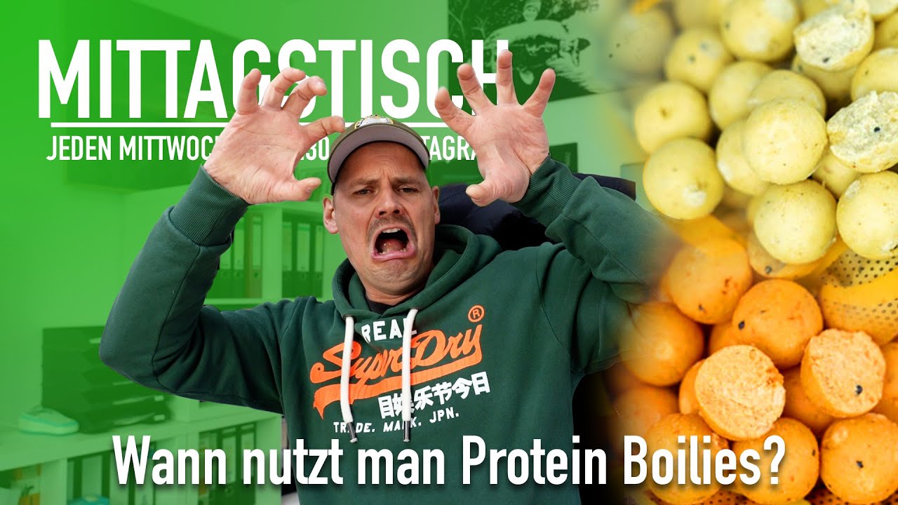 🇺🇦 🎣  Protein Boilies richtig einsetzen | Scharfe K&ouml;der 🌶 | Mittagstisch #49