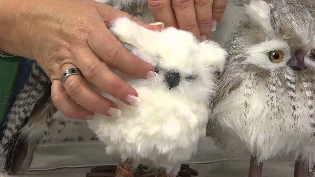 Set of 3 Zebra Snowy Owl Feathered Figurines with Kerstin Lindquist