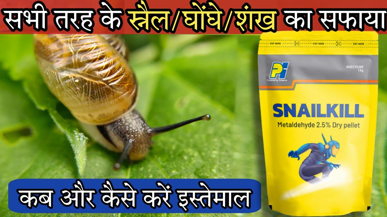 Snailkill pesticide, How to control snail and slugs, Metaldehyde pesticide