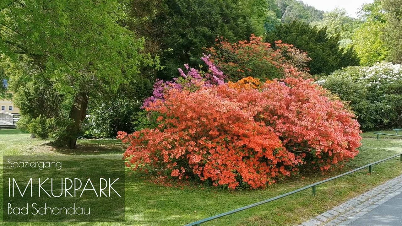DECELERATION | Im Kurpark Bad Schandau