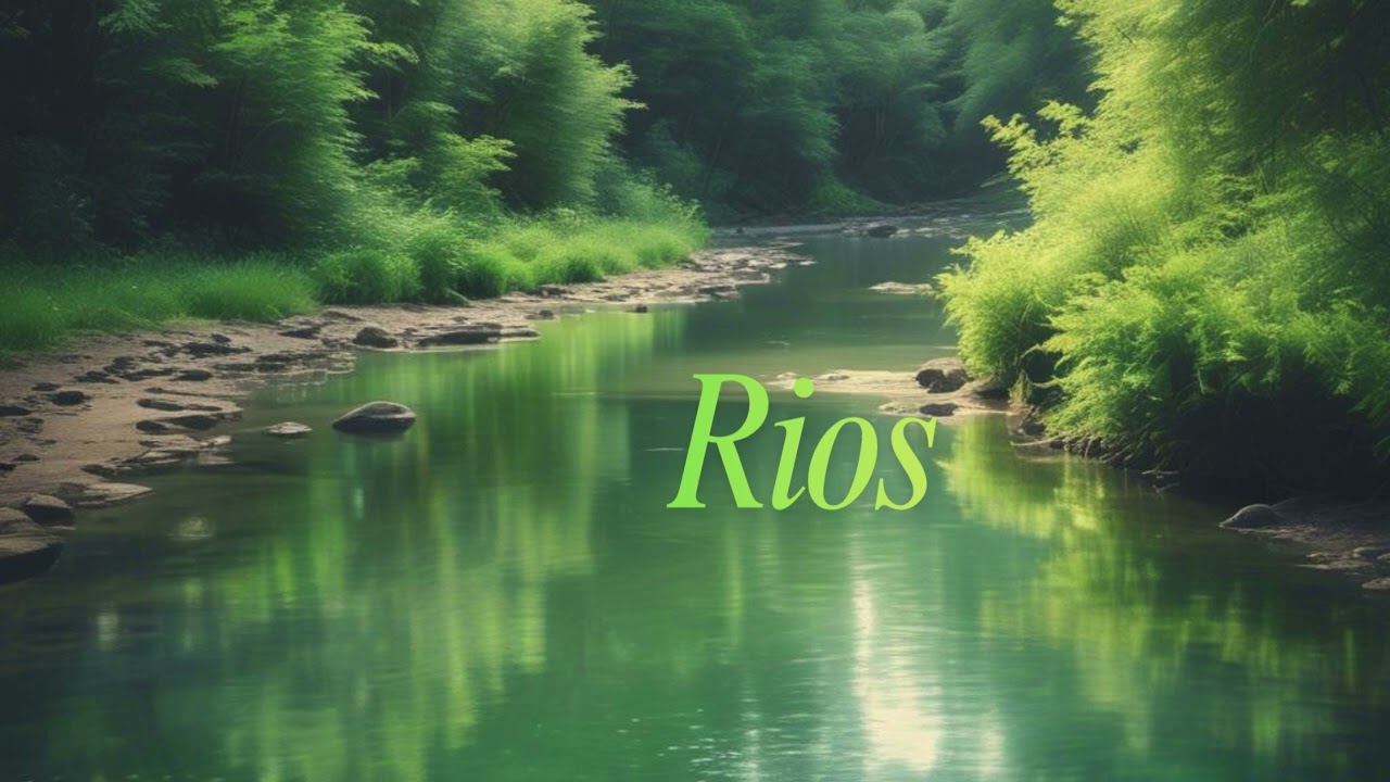 Anderson D'Freitas - Rios